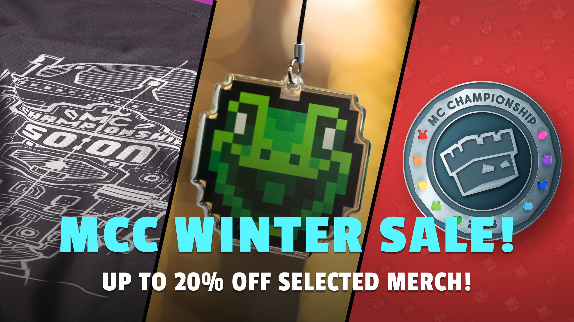 Winter Sale Graphic.png